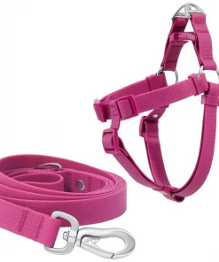 Frisco Outdoor Solid Textured Waterproof Stink Proof PVC Harness, Boysenberry Purple, Large, Neck: 19 to 27-in, Girth: 23 to 36-in + Dog Leash, Boysenberry Purple, Large - Length: 6-ft, Width: 1-in
