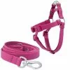 Frisco Outdoor Solid Textured Waterproof Stink Proof PVC Harness, Boysenberry Purple, Small, Neck: 14 to 19-in, Girth: 16 to 23-in + Dog Leash, Boysenberry Purple, Small - Length: 6-ft, Width: 5/8-in -Dog Cat Corner 319360 MAIN. SY630 V1631149281