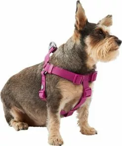 Frisco Outdoor Solid Textured Waterproof Stink Proof PVC Harness, Boysenberry Purple, Small, Neck: 14 to 19-in, Girth: 16 to 23-in + Dog Leash, Boysenberry Purple, Small - Length: 6-ft, Width: 5/8-in -Dog Cat Corner 319360 PT2. SY630 V1631145399