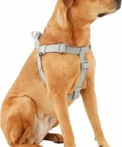 Frisco Outdoor Solid Textured Waterproof Stink Proof PVC Harness, Storm Gray, Medium, Neck: 16 to 22-in, Girth: 19 to 29-in + Dog Leash, Storm Gray, Medium - Length: 6-ft, Width: 3/4-in -Dog Cat Corner 319366 PT2. SY630 V1631140305