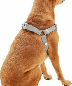 Frisco Outdoor Solid Textured Waterproof Stink Proof PVC Harness, Storm Gray, Medium, Neck: 16 to 22-in, Girth: 19 to 29-in + Dog Leash, Storm Gray, Medium - Length: 6-ft, Width: 3/4-in -Dog Cat Corner 319366 PT3. SY630 V1631141783