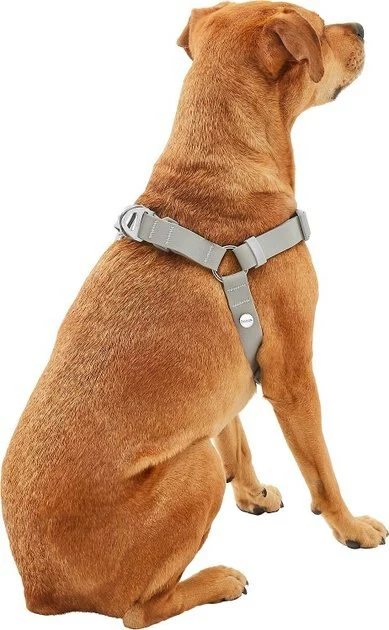 Frisco Outdoor Solid Textured Waterproof Stink Proof PVC Harness, Storm Gray, Small, Neck: 14 to 19-in, Girth: 16 to 23-in + Dog Leash, Storm Gray, Small - Length: 6-ft, Width: 5/8-in 6 Frisco Outdoor Solid Textured Waterproof Stink Proof PVC Harness, Storm Gray, Small, Neck: 14 to 19-in, Girth: 16 to 23-in + Dog Leash, Storm Gray, Small - Length: 6-ft, Width: 5/8-in - Image 4
