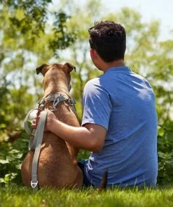 Frisco Outdoor Solid Textured Waterproof Stink Proof PVC Harness, Storm Gray, Small, Neck: 14 to 19-in, Girth: 16 to 23-in + Dog Leash, Storm Gray, Small - Length: 6-ft, Width: 5/8-in 19 Frisco Outdoor Solid Textured Waterproof Stink Proof PVC Harness, Storm Gray, Small, Neck: 14 to 19-in, Girth: 16 to 23-in + Dog Leash, Storm Gray, Small - Length: 6-ft, Width: 5/8-in -Dog Cat Corner 319368 PT8. SY630 V1631149569