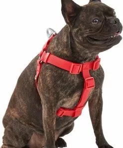 Frisco Outdoor Solid Textured Waterproof Stink Proof PVC Harness, Sunset Orage, Large, Neck: 19 to 27-in, Girth: 23 to 36-in + Dog Leash, Sunset Orange, LG - Length: 6-ft, Width: 1-in -Dog Cat Corner 319372 PT2. SY630 V1631152598