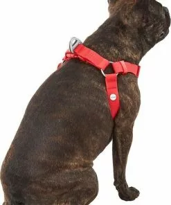 Frisco Outdoor Solid Textured Waterproof Stink Proof PVC Harness, Sunset Orage, Large, Neck: 19 to 27-in, Girth: 23 to 36-in + Dog Leash, Sunset Orange, LG - Length: 6-ft, Width: 1-in -Dog Cat Corner 319372 PT3. SY630 V1631155600