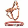 Frisco Outdoor Two Tone Waterproof Stinkproof PVC Harness, Flamepoint Orange, Medium, Neck: 16 to 22-in, Girth: 19 to 29-in + Dog Collar, Flamepoint Orange, Medium - Neck: 14½-20-in, Width: 3/4-in 2 Frisco Outdoor Two Tone Waterproof Stinkproof PVC Harness, Flamepoint Orange, Medium, Neck: 16 to 22-in, Girth: 19 to 29-in + Dog Collar, Flamepoint Orange, Medium - Neck: 14½-20-in, Width: 3/4-in -Dog Cat Corner 319382 MAIN. SY630 V1631144184