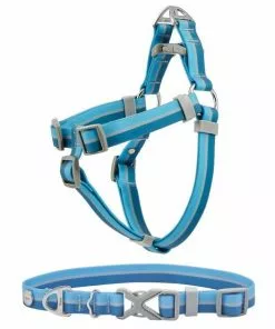 Frisco Outdoor Two Tone Waterproof Stinkproof PVC Harness, River Blue, Small, Neck: 14 to 19-in, Girth: 16 to 23-in + Dog Collar, River Blue, Small - Neck: 10½-14-in, Width: 5/8-in