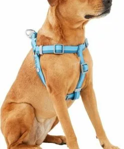 Frisco Outdoor Two Tone Waterproof Stinkproof PVC Harness, River Blue,Extra Large, Neck: 22 to 33-in, Girth: 32 to 44-in + Outdoor Two Tone Waterproof Stinkproof PVC Harness, River Blue, Large, Neck: 19 to 27-in, Girth: 23 to 36-in 10 Frisco Outdoor Two Tone Waterproof Stinkproof PVC Harness, River Blue,Extra Large, Neck: 22 to 33-in, Girth: 32 to 44-in + Outdoor Two Tone Waterproof Stinkproof PVC Harness, River Blue, Large, Neck: 19 to 27-in, Girth: 23 to 36-in -Dog Cat Corner 319396 PT2. SY630 V1630624884