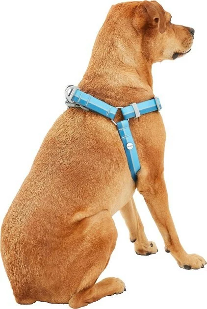 Frisco Outdoor Two Tone Waterproof Stinkproof PVC Harness, River Blue,Extra Large, Neck: 22 to 33-in, Girth: 32 to 44-in + Outdoor Two Tone Waterproof Stinkproof PVC Harness, River Blue, Large, Neck: 19 to 27-in, Girth: 23 to 36-in 6 Frisco Outdoor Two Tone Waterproof Stinkproof PVC Harness, River Blue,Extra Large, Neck: 22 to 33-in, Girth: 32 to 44-in + Outdoor Two Tone Waterproof Stinkproof PVC Harness, River Blue, Large, Neck: 19 to 27-in, Girth: 23 to 36-in - Image 4