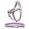 Frisco Outdoor Two Tone Waterproof Stinkproof PVC Harness, Shadow Purple, Medium, Neck: 16 to 22-in, Girth: 19 to 29-in + Dog Collar, Boysenberry Purple, Medium - Neck: 14½-20-in, Width: 3/4-in 1 Frisco Outdoor Two Tone Waterproof Stinkproof PVC Harness, Shadow Purple, Medium, Neck: 16 to 22-in, Girth: 19 to 29-in + Dog Collar, Boysenberry Purple, Medium - Neck: 14½-20-in, Width: 3/4-in -Dog Cat Corner 319402 MAIN. SY630 V1631138782