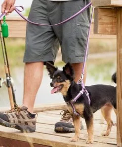 Frisco Outdoor Two Tone Waterproof Stinkproof PVC Harness, Shadow Purple, Medium, Neck: 16 to 22-in, Girth: 19 to 29-in + Dog Collar, Boysenberry Purple, Medium - Neck: 14½-20-in, Width: 3/4-in 15 Frisco Outdoor Two Tone Waterproof Stinkproof PVC Harness, Shadow Purple, Medium, Neck: 16 to 22-in, Girth: 19 to 29-in + Dog Collar, Boysenberry Purple, Medium - Neck: 14½-20-in, Width: 3/4-in -Dog Cat Corner 319402 PT4. SY630 V1631153177