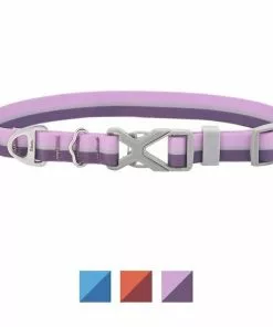 Frisco Outdoor Two Tone Waterproof Stinkproof PVC Harness, Shadow Purple, Medium, Neck: 16 to 22-in, Girth: 19 to 29-in + Dog Collar, Boysenberry Purple, Medium - Neck: 14½-20-in, Width: 3/4-in 16 Frisco Outdoor Two Tone Waterproof Stinkproof PVC Harness, Shadow Purple, Medium, Neck: 16 to 22-in, Girth: 19 to 29-in + Dog Collar, Boysenberry Purple, Medium - Neck: 14½-20-in, Width: 3/4-in -Dog Cat Corner 319402 PT5. SY630 V1631160085