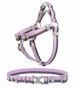 Frisco Outdoor Two Tone Waterproof Stinkproof PVC Harness, Shadow Purple,Extra Large, Neck: 22 to 33-in, Girth: 32 to 44-in + Dog Collar, Boysenberry Purple, Large, Neck: 18 ½- 26-in, Width: 1-in