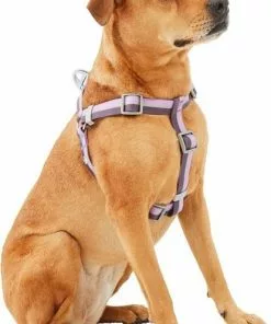 Frisco Outdoor Two Tone Waterproof Stinkproof PVC Harness, Shadow Purple,Extra Large, Neck: 22 to 33-in, Girth: 32 to 44-in + Dog Collar, Boysenberry Purple, Large, Neck: 18 ½- 26-in, Width: 1-in -Dog Cat Corner 319406 PT2. SY630 V1631146017