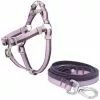 Frisco Outdoor Two Tone Waterproof Stinkproof PVC Harness, Shadow Purple,Extra Large, Neck: 22 to 33-in, Girth: 32 to 44-in + Dog Leash, Boysenberry Purple, Large - Length: 6-ft, Width: 1-in -Dog Cat Corner 319408 MAIN. SY630 V1631138210