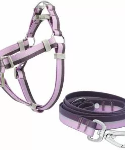 Frisco Outdoor Two Tone Waterproof Stinkproof PVC Harness, Shadow Purple,Extra Large, Neck: 22 to 33-in, Girth: 32 to 44-in + Dog Leash, Boysenberry Purple, Large - Length: 6-ft, Width: 1-in