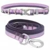 Frisco Outdoor Two Toned Waterproof Stink Proof PVC Collar, Boysenberry Purple, Large, Neck: 18 ½ 26-in, Width: 1-in + Dog Leash, Boysenberry Purple, Large - Length: 6-ft, Width: 1-in 1 Frisco Outdoor Two Toned Waterproof Stink Proof PVC Collar, Boysenberry Purple, Large, Neck: 18 ½ 26-in, Width: 1-in + Dog Leash, Boysenberry Purple, Large - Length: 6-ft, Width: 1-in -Dog Cat Corner 319412 MAIN. SY630 V1631157991