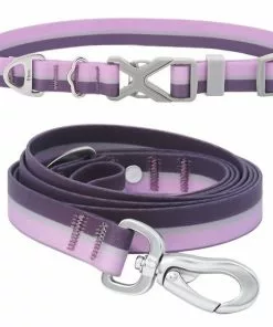 Frisco Outdoor Two Toned Waterproof Stink Proof PVC Collar, Boysenberry Purple, Large, Neck: 18 ½ 26-in, Width: 1-in + Dog Leash, Boysenberry Purple, Large - Length: 6-ft, Width: 1-in