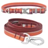 Frisco Outdoor Two Toned Waterproof Stink Proof PVC Collar, Flamepoint Orange, Extra Small, Neck: 8-12-in, Width: 5/8th -in + Dog Leash, Sunset Orange, Small - Length: 6-ft, Width: 5/8-in -Dog Cat Corner 319418 MAIN. SY630 V1631142983