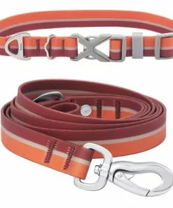 Frisco Outdoor Two Toned Waterproof Stink Proof PVC Collar, Flamepoint Orange, Large, Neck: 18 ½ 26-in, Width: 1-in + Dog Leash, Sunset Orange, Large - Length: 6-ft, Width: 1-in