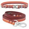 Frisco Outdoor Two Toned Waterproof Stink Proof PVC Collar, Flamepoint Orange, Small - Neck: 10½14-in, Width: 5/8-in + Dog Leash, Sunset Orange, Small - Length: 6-ft, Width: 5/8-in