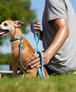 Frisco Outdoor Two Toned Waterproof Stink Proof PVC Collar, River Blue, Medium - Neck: 14½20-in, Width: 3/4-in + Dog Leash, River Blue, Medium - Length: 6-ft, Width: 3/4-in -Dog Cat Corner 319430 PT7. SY630 V1631155576