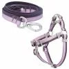 Frisco Outdoor Two Toned Waterproof Stink Proof PVC Leash, Boysenberry Purple, Large - Length: 6-ft, Width: 1-in + Dog Harness, Shadow Purple, Large, Neck: 19 to 27-in, Girth: 23 to 36-in