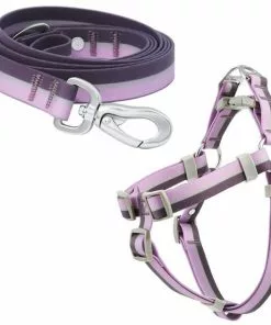 Frisco Outdoor Two Toned Waterproof Stink Proof PVC Leash, Boysenberry Purple, Large - Length: 6-ft, Width: 1-in + Dog Harness, Shadow Purple, Large, Neck: 19 to 27-in, Girth: 23 to 36-in