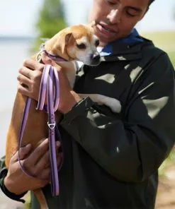 Frisco Outdoor Two Toned Waterproof Stink Proof PVC Leash, Boysenberry Purple, Large - Length: 6-ft, Width: 1-in + Dog Harness, Shadow Purple, Large, Neck: 19 to 27-in, Girth: 23 to 36-in 14 Frisco Outdoor Two Toned Waterproof Stink Proof PVC Leash, Boysenberry Purple, Large - Length: 6-ft, Width: 1-in + Dog Harness, Shadow Purple, Large, Neck: 19 to 27-in, Girth: 23 to 36-in -Dog Cat Corner 319434 PT3. SY630 V1631158576