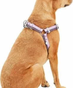 Frisco Outdoor Two Toned Waterproof Stink Proof PVC Leash, Boysenberry Purple, Large - Length: 6-ft, Width: 1-in + Dog Harness, Shadow Purple, Large, Neck: 19 to 27-in, Girth: 23 to 36-in 17 Frisco Outdoor Two Toned Waterproof Stink Proof PVC Leash, Boysenberry Purple, Large - Length: 6-ft, Width: 1-in + Dog Harness, Shadow Purple, Large, Neck: 19 to 27-in, Girth: 23 to 36-in -Dog Cat Corner 319434 PT6. SY630 V1631152299