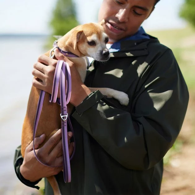 Frisco Outdoor Two Toned Waterproof Stink Proof PVC Leash, Boysenberry Purple, Small - Length: 6-ft, Width: 5/8-in + Dog Harness, Shadow Purple, Small, Neck: 14 to 19-in, Girth: 16 to 23-in 6 Frisco Outdoor Two Toned Waterproof Stink Proof PVC Leash, Boysenberry Purple, Small - Length: 6-ft, Width: 5/8-in + Dog Harness, Shadow Purple, Small, Neck: 14 to 19-in, Girth: 16 to 23-in - Image 4