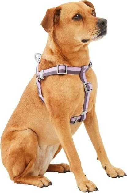 Frisco Outdoor Two Toned Waterproof Stink Proof PVC Leash, Boysenberry Purple, Small - Length: 6-ft, Width: 5/8-in + Dog Harness, Shadow Purple, Small, Neck: 14 to 19-in, Girth: 16 to 23-in 8 Frisco Outdoor Two Toned Waterproof Stink Proof PVC Leash, Boysenberry Purple, Small - Length: 6-ft, Width: 5/8-in + Dog Harness, Shadow Purple, Small, Neck: 14 to 19-in, Girth: 16 to 23-in - Image 6
