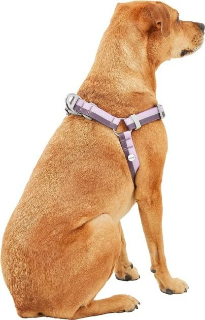 Frisco Outdoor Two Toned Waterproof Stink Proof PVC Leash, Boysenberry Purple, Small - Length: 6-ft, Width: 5/8-in + Dog Harness, Shadow Purple, Small, Neck: 14 to 19-in, Girth: 16 to 23-in 9 Frisco Outdoor Two Toned Waterproof Stink Proof PVC Leash, Boysenberry Purple, Small - Length: 6-ft, Width: 5/8-in + Dog Harness, Shadow Purple, Small, Neck: 14 to 19-in, Girth: 16 to 23-in - Image 7