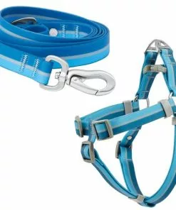 Frisco Outdoor Two Toned Waterproof Stink Proof PVC Leash, River Blue, Large - Length: 6-ft, Width: 1-in + Dog Harness, River Blue, Large, Neck: 19 to 27-in, Girth: 23 to 36-in