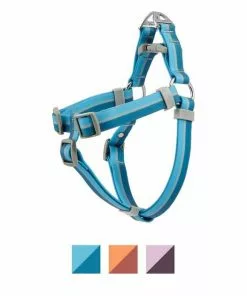 Frisco Outdoor Two Toned Waterproof Stink Proof PVC Leash, River Blue, Large - Length: 6-ft, Width: 1-in + Dog Harness, River Blue, Large, Neck: 19 to 27-in, Girth: 23 to 36-in 15 Frisco Outdoor Two Toned Waterproof Stink Proof PVC Leash, River Blue, Large - Length: 6-ft, Width: 1-in + Dog Harness, River Blue, Large, Neck: 19 to 27-in, Girth: 23 to 36-in -Dog Cat Corner 319440 PT4. SY630 V1631138788