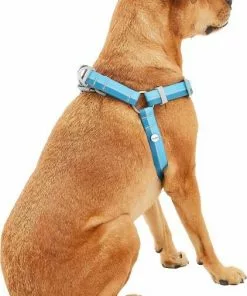 Frisco Outdoor Two Toned Waterproof Stink Proof PVC Leash, River Blue, Large - Length: 6-ft, Width: 1-in + Dog Harness, River Blue, Large, Neck: 19 to 27-in, Girth: 23 to 36-in 17 Frisco Outdoor Two Toned Waterproof Stink Proof PVC Leash, River Blue, Large - Length: 6-ft, Width: 1-in + Dog Harness, River Blue, Large, Neck: 19 to 27-in, Girth: 23 to 36-in -Dog Cat Corner 319440 PT6. SY630 V1631154094