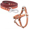 Frisco Outdoor Two Toned Waterproof Stink Proof PVC Leash, Sunset Orange, Large - Length: 6-ft, Width: 1-in + Dog Harness, Flamepoint Orange, Large, Neck: 19 to 27-in, Girth: 23 to 36-in 1 Frisco Outdoor Two Toned Waterproof Stink Proof PVC Leash, Sunset Orange, Large - Length: 6-ft, Width: 1-in + Dog Harness, Flamepoint Orange, Large, Neck: 19 to 27-in, Girth: 23 to 36-in -Dog Cat Corner 319446 MAIN. SY630 V1631149006