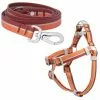 Frisco Outdoor Two Toned Waterproof Stink Proof PVC Leash, Sunset Orange, Medium - Length: 6-ft, Width: 3/4-in + Dog Harness, Flamepoint Orange, Medium, Neck: 16 to 22-in, Girth: 19 to 29-in -Dog Cat Corner 319448 MAIN. SY630 V1631151398