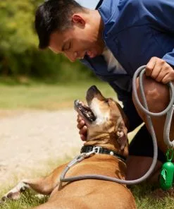 Frisco Outdoor Woven Jacquard Nylon Dog Collar, Forest Green, Large, Neck: 18 -26-in, Width: 1-in + Ultra Reflective Rope Leash With Padded Handle, Stone Gray, 6 - ft 19 Frisco Outdoor Woven Jacquard Nylon Dog Collar, Forest Green, Large, Neck: 18 -26-in, Width: 1-in + Ultra Reflective Rope Leash With Padded Handle, Stone Gray, 6 - ft -Dog Cat Corner 319470 PT8. SY630 V1631151092