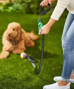 Frisco Traffic Leash with Padded Handles & Poop Bag Dispenser, Black, Length: 4-ft, Width: 1-in + Refill Dog Poop Bags, Scented, 120 count -Dog Cat Corner 319510 PT4. SY630 V1630629373