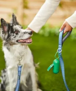 Frisco Traffic Leash with Padded Handles & Poop Bag Dispenser, Blue, Length: 6ft, Width: 1-in + Refill Dog Poop Bags, Scented, 120 count 15 Frisco Traffic Leash with Padded Handles & Poop Bag Dispenser, Blue, Length: 6ft, Width: 1-in + Refill Dog Poop Bags, Scented, 120 count -Dog Cat Corner 319516 PT4. SY630 V1630624598
