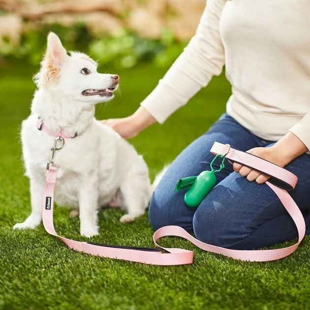 Frisco Traffic Leash with Padded Handles & Poop Bag Dispenser, Pink, Length: 4-ft, Width: 1-in + Refill Dog Poop Bags, Scented, 120 count 7 Frisco Traffic Leash with Padded Handles & Poop Bag Dispenser, Pink, Length: 4-ft, Width: 1-in + Refill Dog Poop Bags, Scented, 120 count - Image 5