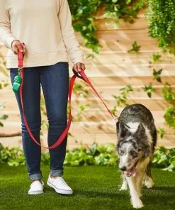 Frisco Traffic Leash with Padded Handles & Poop Bag Dispenser, Red, Length: 6ft, Width: 1-in + Refill Dog Poop Bags, Scented, 120 count -Dog Cat Corner 319524 PT4. SY630 V1630621912