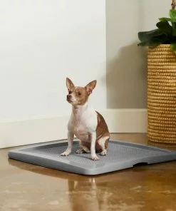 Frisco Training Pad Holder, 24-in x 24-in + Dog Training & Potty Pads, 22 x 23-in, 100 count, Unscented 15 Frisco Training Pad Holder, 24-in x 24-in + Dog Training & Potty Pads, 22 x 23-in, 100 count, Unscented -Dog Cat Corner 319526 PT4. SY630 V1630624305