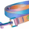 Frisco Purple Ombre Style Dog Leash -Dog Cat Corner 324514 MAIN. SY630 V1642518850