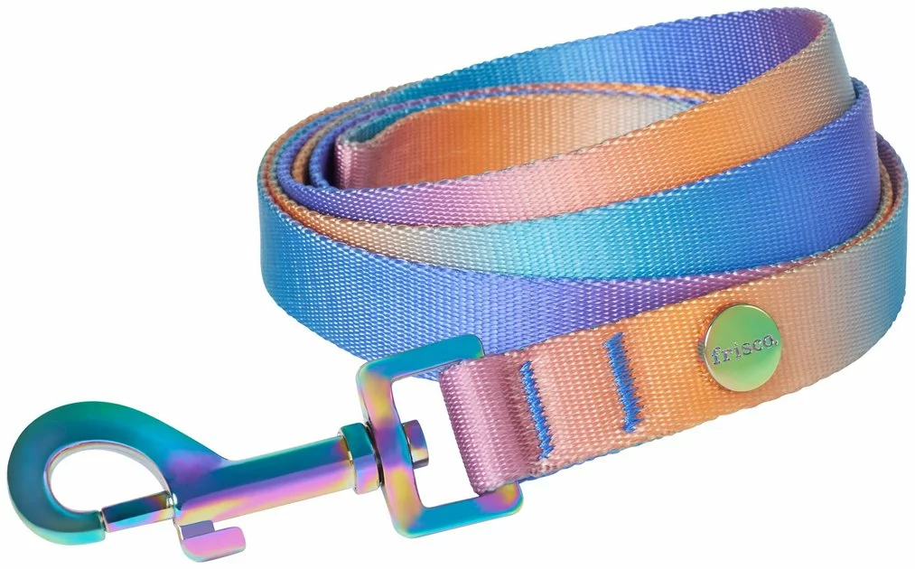 Frisco Purple Ombre Style Dog Leash 3 Frisco Purple Ombre Style Dog Leash