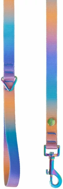 Frisco Purple Ombre Style Dog Leash 4 Frisco Purple Ombre Style Dog Leash - Image 2