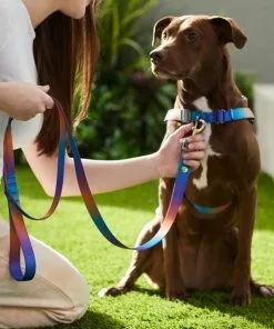 Frisco Purple Ombre Style Dog Leash 11 Frisco Purple Ombre Style Dog Leash -Dog Cat Corner 324514 PT4. SY630 V1642518172