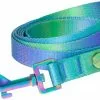 Frisco Green Ombre Style Dog Leash