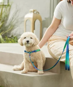 Frisco Green Ombre Style Dog Leash -Dog Cat Corner 324518 PT4. SY630 V1642518628